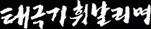Taegukgi: The Brotherhood of War